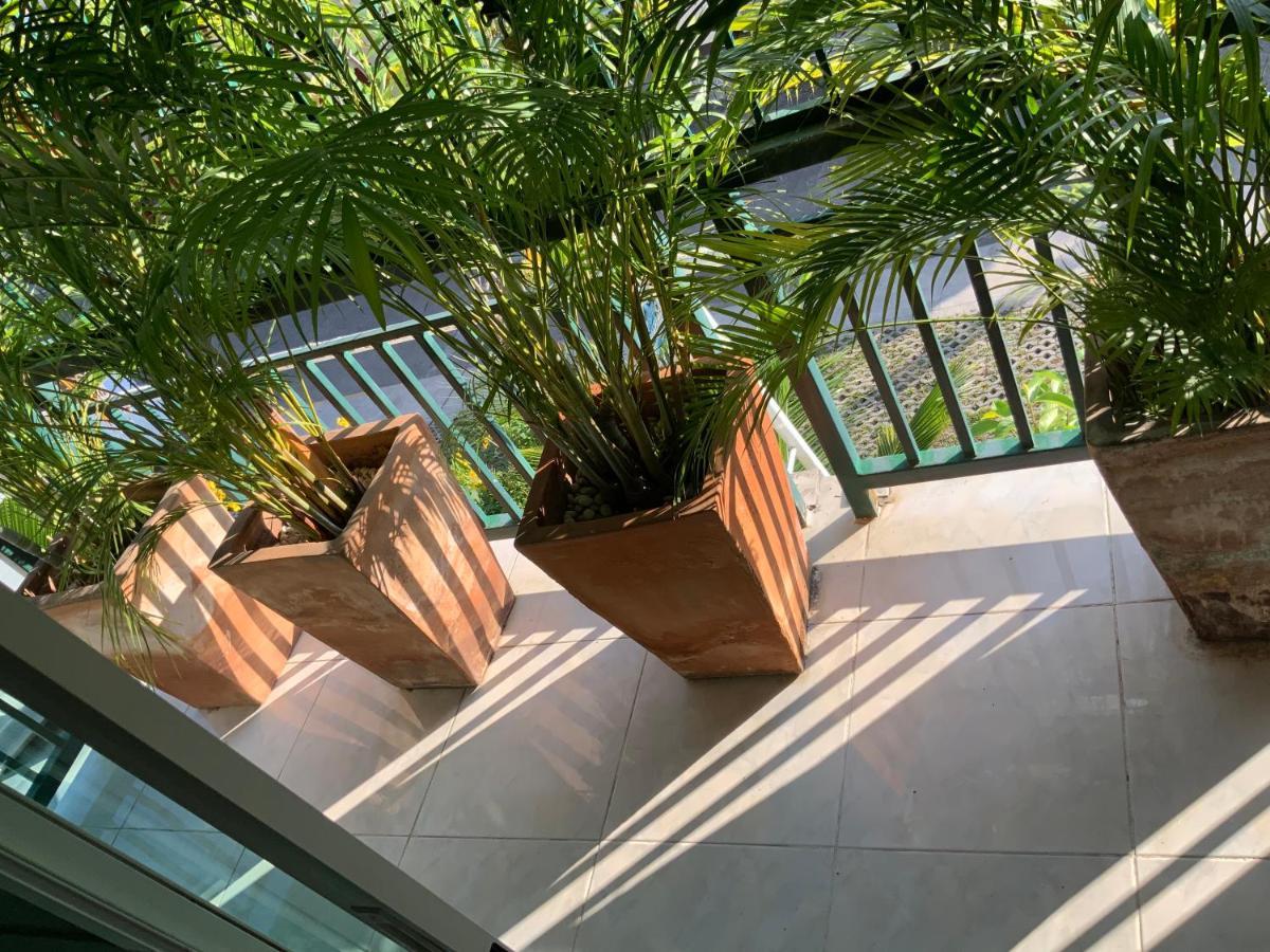 צ'יאנג מאי Lemon Guesthouse מראה חיצוני תמונה